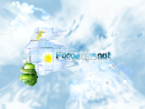 Forget me not